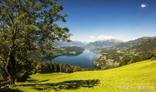 初中原创作文点评：《相思寄梦遥》，大量修辞，诗情画意