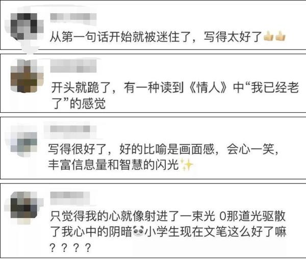 小学生“暗恋”作文惊呆网友！“她就是我的光！” 3