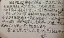 六年级上册语文第二单元作文800字