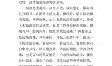 美丽的杭州 六年级描写杭州的作文500字