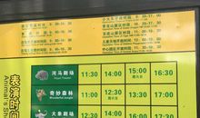 游野生动物园 四年级参观野生动物园作文300字