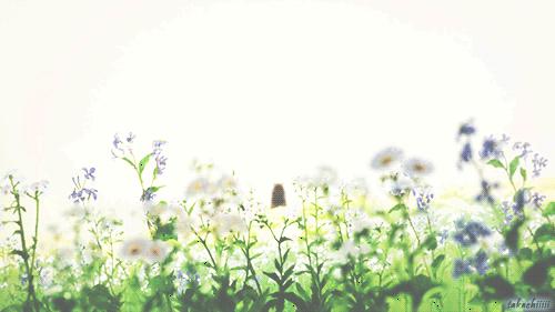 原创学生作文：《“失恋”的滋味》