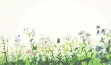 原创学生作文：《“失恋”的滋味》