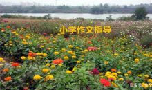 像这篇小学作文一样，写人写事时使用多种描写吧！