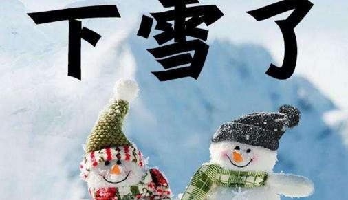 下雪了 高中生日记800字