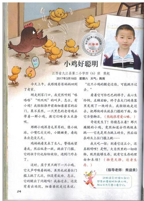 喂小鸡 高中生日记600字