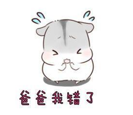 初一作文：爸爸，我错了！