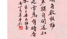 凌寒暗香独自开优秀作文750字