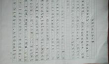 足球小子的作文450字