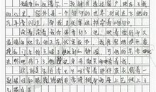 我家的珍品作文550字