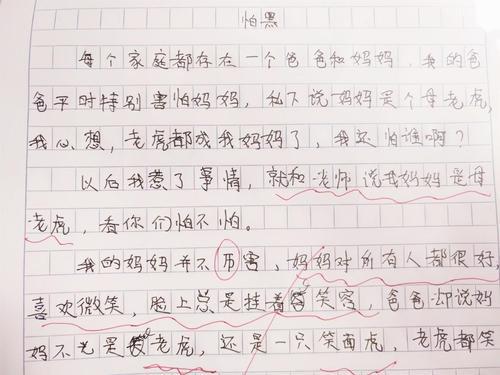 无成人陪伴儿童作文范文