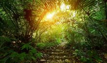 有哪些语文作文中可以用到的高级词汇?