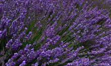 高考作文那些让人眼前一亮的神开头