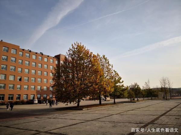 40年前高二学生写的这篇作文,依旧可以作为当下高考作文的标杆