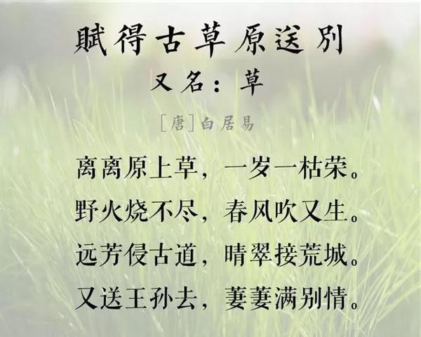 写作讲座︱中考、高考作文，具备这3个特征一定得高分！ 5