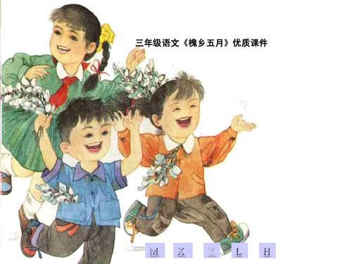 小学三年级语文《槐乡五月》教案
