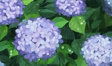 原创学生作文：《种大蒜记》