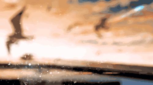 满分作文丨中考满分作文：以独特的心情对待压力