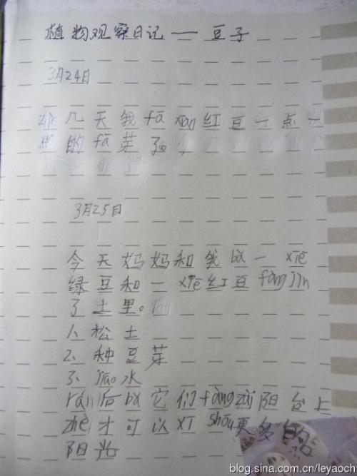 四年级上册语文第三单元作文观察日记600字