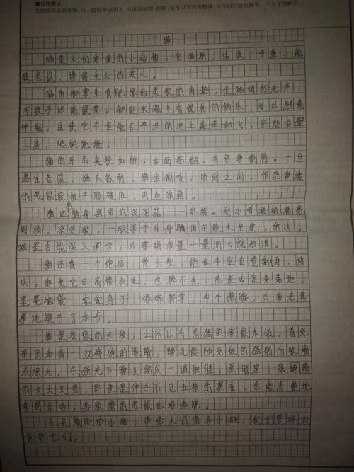 兰州晨报作文周刊·红蜻蜓丨武术老师……