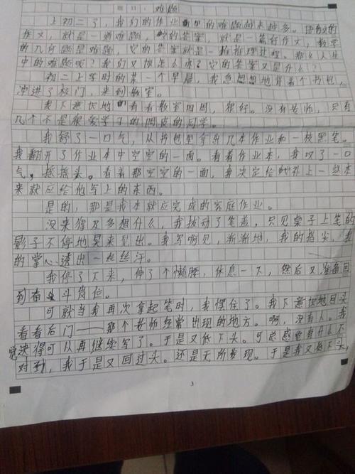 我跟老外打交道 八年级叙事作文600字