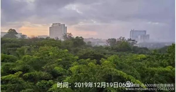 【小学生优秀作文】窗外即景 4