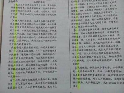 观《夺宝熊兵》有感 五年级观后感作文600字