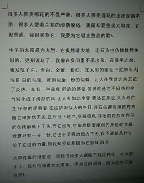 永远的平民英雄 我崇拜的一个英雄作文300字