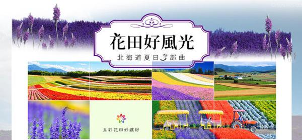 北海道游记 去日本旅游作文500字