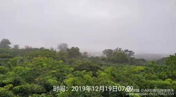 【小学生优秀作文】窗外即景 5