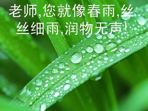 细雨 春雨随笔作文500字