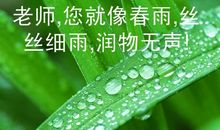 细雨 春雨随笔作文500字