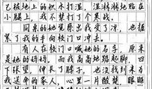 真正耐力的比拼 激烈的篮球比赛作文600字