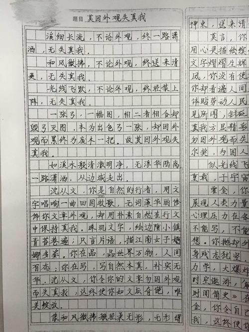 王补平老师往届学生优秀作文两篇