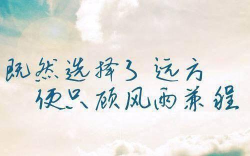 岁月如诗 高三作文800字