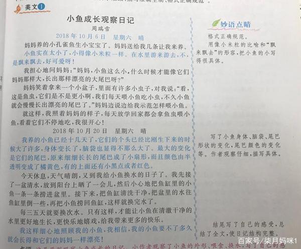 语文老师推荐:四年级作文素材搜集与写作,以下内容任你选很实用 4