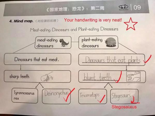 亲测分享：如何从精读绘本，过渡到英文小作文？ 16