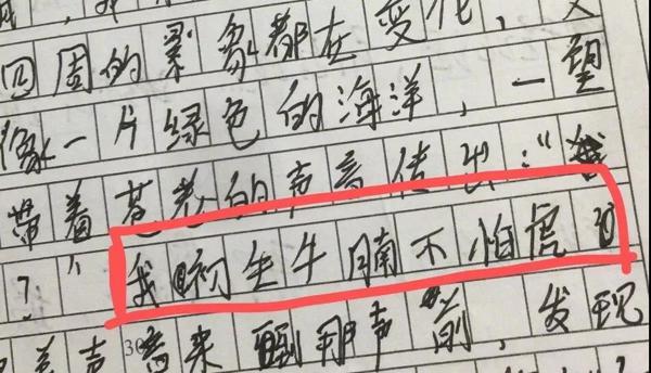 平日里父（母）慈子（女）孝，一写作文鸡飞狗跳？ 1