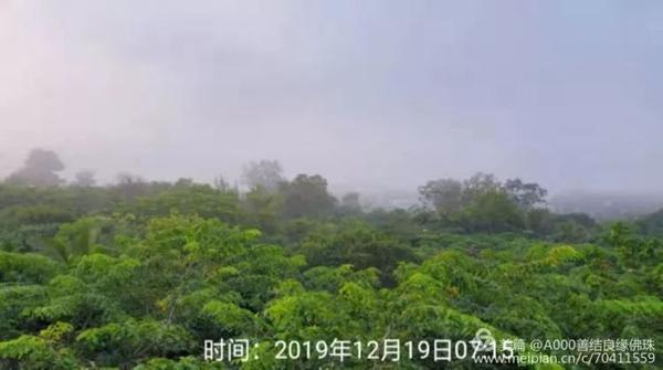 【小学生优秀作文】窗外即景 6