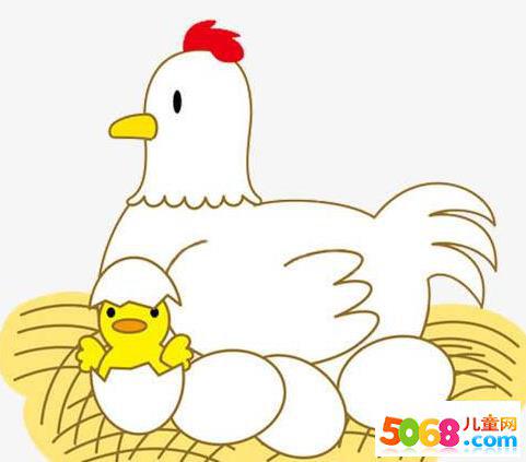 幼儿园《母鸡妈妈和两个蛋》教案设计