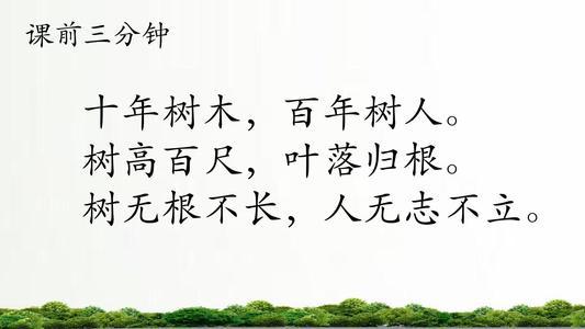 写作文就看晨览大语文