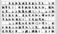 中考优秀作文|《无声的谎言》