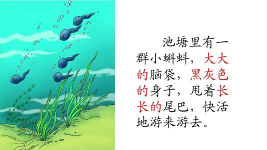 写作文就看晨览大语文 1
