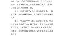 北山 家乡写景作文400字