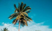 名句积累加解读，让你的作文更上一层楼！