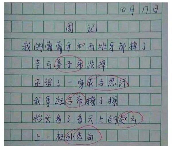 小学生作文之“天命不可违”喜获100分,老师点赞:牛 3