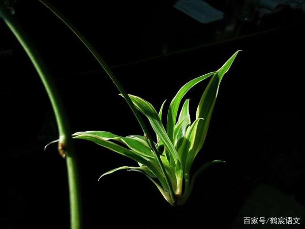 高中时那些有趣儿的事情,后来都成了我作文的素材