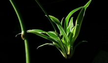 高中时那些有趣儿的事情，后来都成了我作文的素材