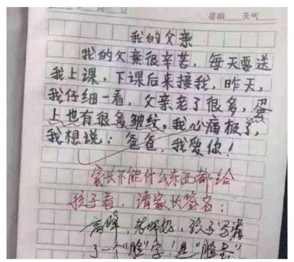 小学生作文之“天命不可违”喜获100分,老师点赞:牛 5