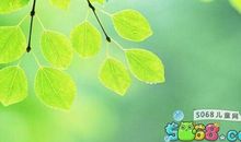 满分作文丨中考满分作文：每个生命都有自己的形状